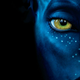 James Cameron’s Avatar: Image: 20th Century Fox